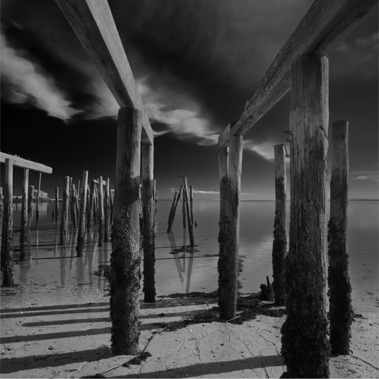 Provincetown framed black and white artwork. Black and white print for sale.
BUY ARTWORK