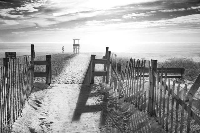 Black and White Beach Photography For Sale
