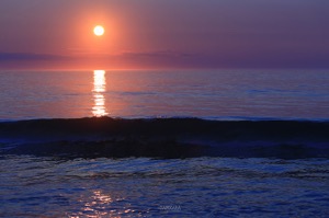 Purple Sunrise on Nauset Beach. Cape Cod photography by Dapixara.
