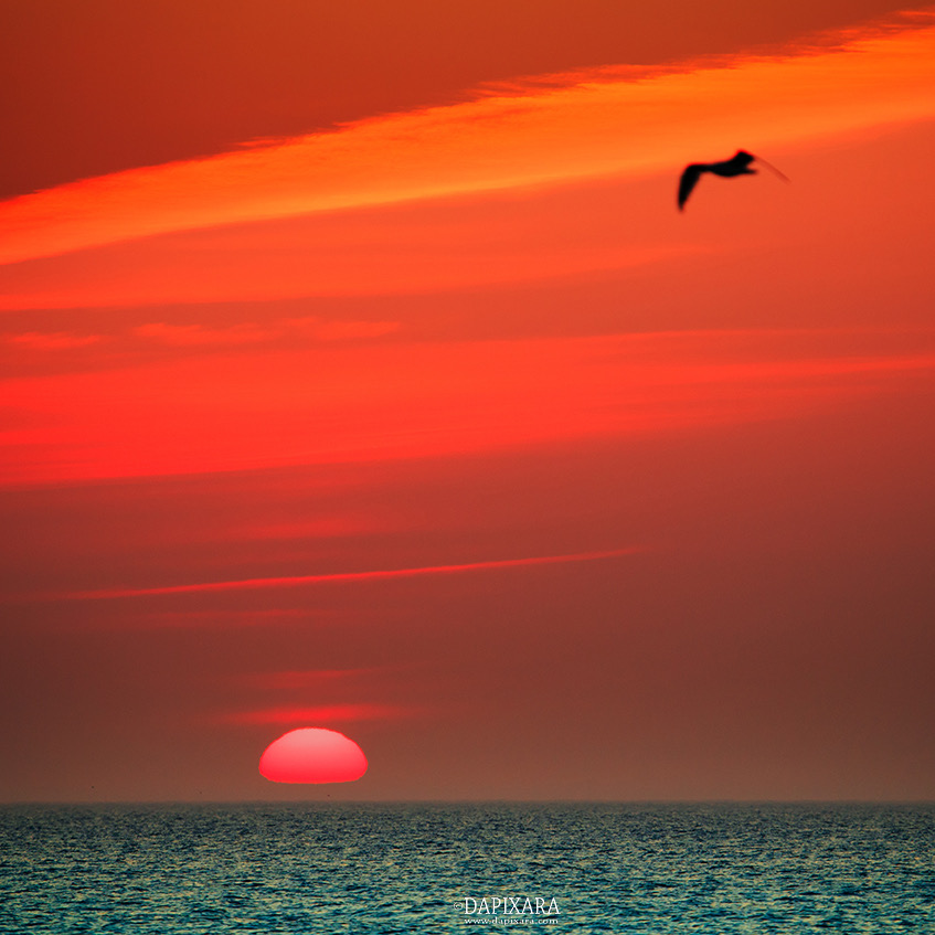 Sun Is Up in Chatham, Massachusetts. American landscape photography by Dapixara.