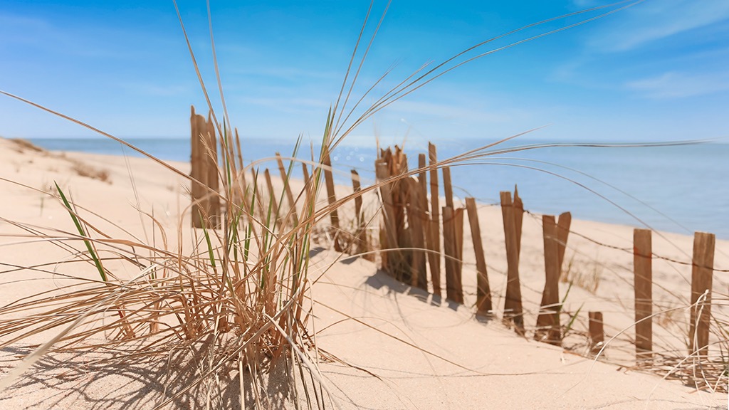 Pastel colors, beach grass + beach fence.