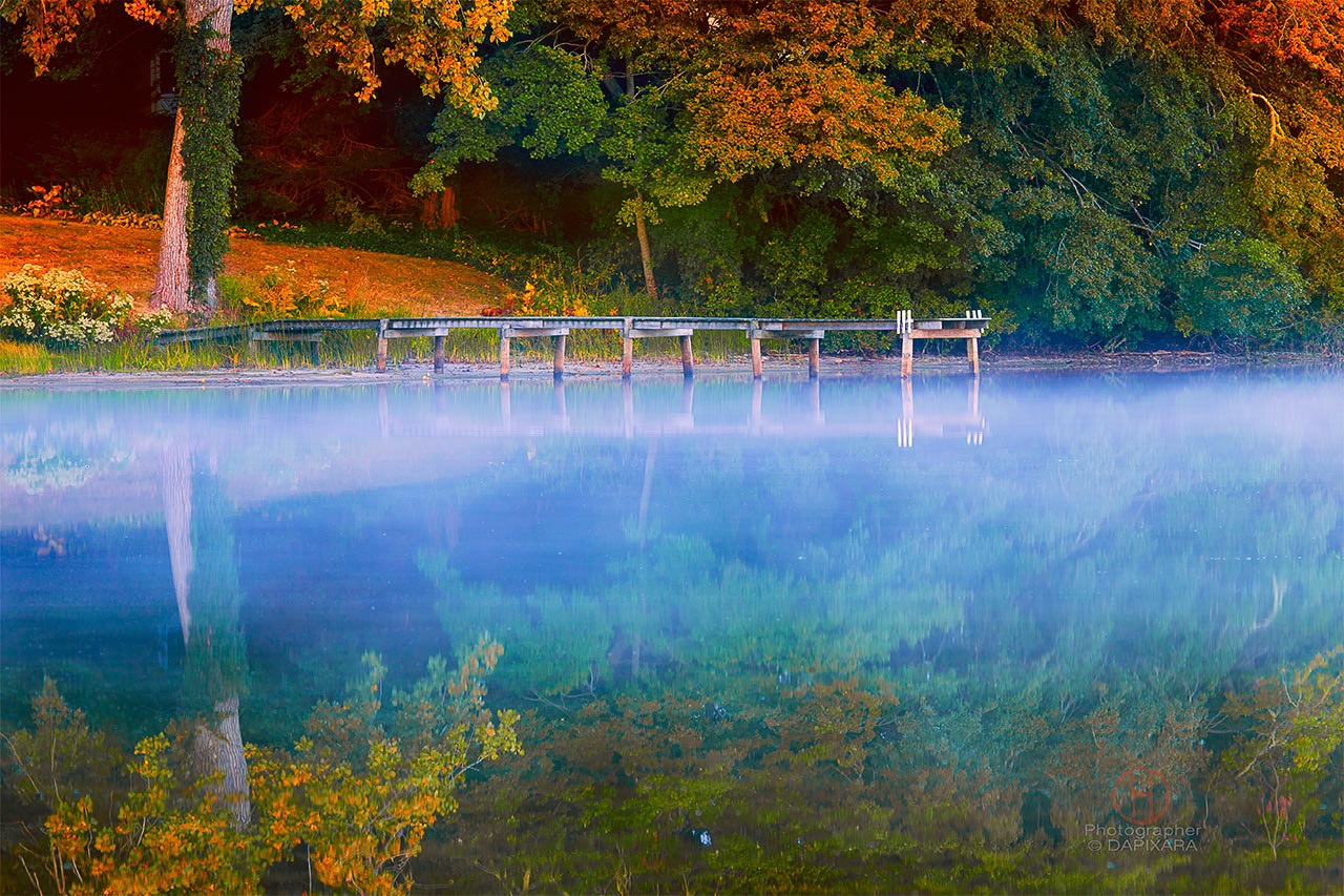 New England is ablaze with color in autumn. Cape Cod fall foliage photograph by Dapixara.