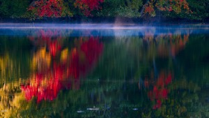 New England, Cape Cod, Fall Abstract
