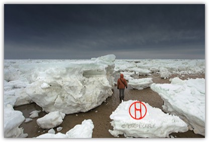 This Is How Thick Ice In Wellfleet, Cape Cod. Big Ice In Cape Cod. Photo by Dapixara. After I took this photo on Great Island beach, March 4, 2015 this photograph made national news on all news platforms from America to Europe! Thank You All! 
Dapixara.